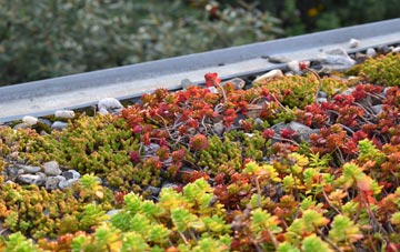 the cost of Upper Weald green roof installation