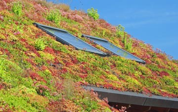 Upper Weald living roof systems